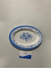 đĩa xoài tầu to