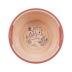 CHẬU VIỀN NHẬT 4T6-2333