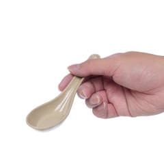 THÌA SÚP PHÍP 2856