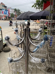 TL cây thông đẹp quả đen