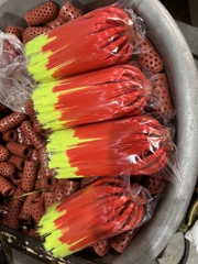 đầu bông mạng nhện to đỏ