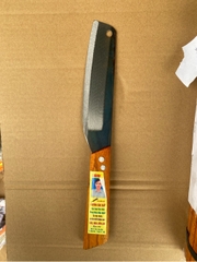 dao bé chính yến