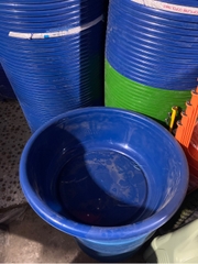 chậu 6t ĐP