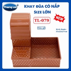Khay đũa có nắp lớn 079
