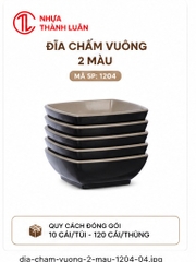 ĐĨA CHẤM VUÔNG 2 MÀU 1204