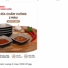 ĐĨA CHẤM VUÔNG 2 MÀU 1204