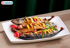 ĐĨA PHÍP CHỮ NHẬT HAI MÀU 1268