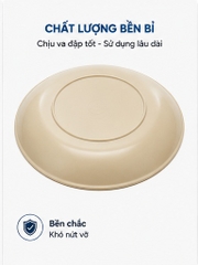 ĐĨA PHIÍP TRÒN SÂU 3T1 1161
