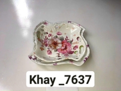 đĩa phíp TL D7637