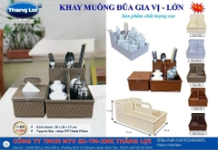 Khay muỗng đũa gia vị-lớn TL 069