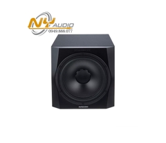 Dynaudio 9S 9.5