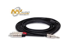 Cáp Hosa Pro Stereo Breakout REAN 3.5mm TRS to Dual RCA