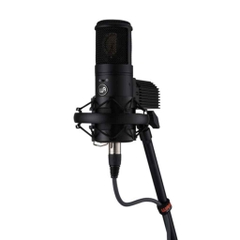 Micro Thu Âm Warm Audio WA-8000 Tube - Mẫu Cực Cardioid / Omni - Chuyên Thu Âm Cho Phòng Thu Chuyên Nghiệp