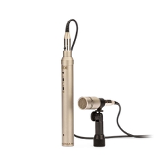 Micro thu âm RODE NT6 + Remote Capsule