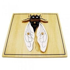 Ghép hình con ruồi – Fly puzzle
