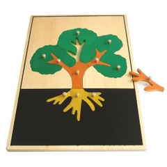 Ghép hình thân cây cỡ lớn – Big tree puzzle