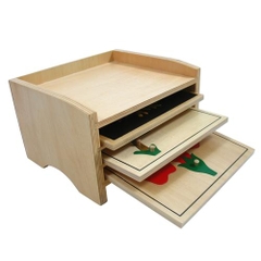 Khay đựng mô hình của cây, lá và hoa