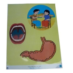 Tranh Sự Tiêu Hóa Thức Ăn