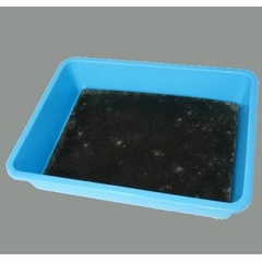 Khay mổ và tấm kê ghim vật mổ