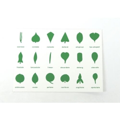 Botany Cabinet Control Chart