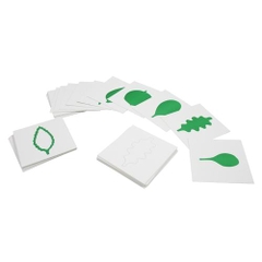 Các mẫu lá cây dùng cho sản phẩm HTB0016