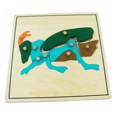 Ghép hình con dế – Cricket puzzle
