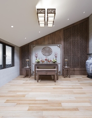 VIILA - HOÀI ĐỨC - HN