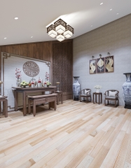 VIILA - HOÀI ĐỨC - HN