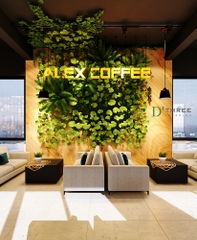 ALEX COFFEE - NINH BÌNH
