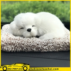 Chú chó để Taplo xe hơi