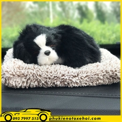 Chú chó để Taplo xe hơi