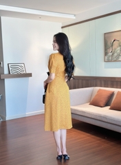 Đầm xòe cổ bẻ, đính nút, tay phồng, có túi - GR0315