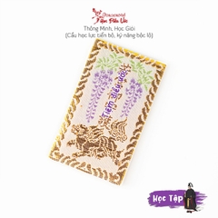 Học Tập - Thông minh sáng suốt