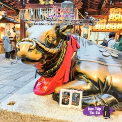 Học tập Thi Cử Shijo-dori