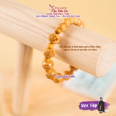 Học Tập - Vòng Thất Phúc Thần