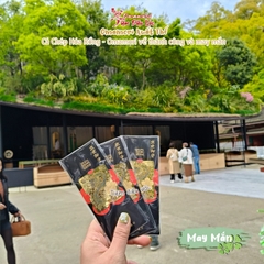 May Mắn Cá Chép Hoá Rồng - Dazaifu