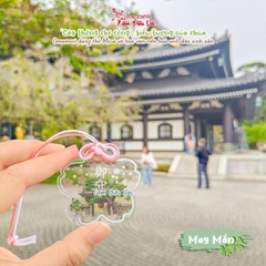 May Mắn - Hoa Anh Đào Hase