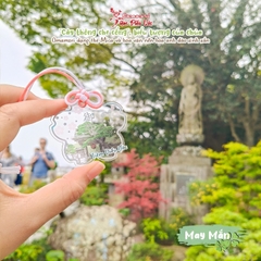 May Mắn - Hoa Anh Đào Hase