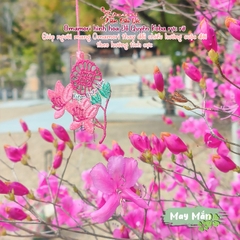 May Mắn - Hoa Đỗ Quyên