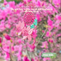 May Mắn - Hoa Đỗ Quyên