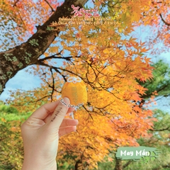 May mắn Kinkakuji Vàng