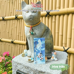 May Mắn - Suginami - Mèo