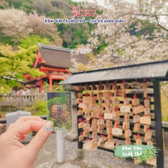 Rất may mắn Kiyomizu