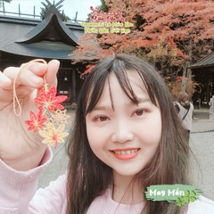 May Mắn - Lá mùa thu - Bản đặc biệt