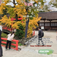 May Mắn - Sakyo - Cánh đen