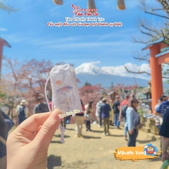 Nguyện Vọng bản Con Giáp - Fujiyoshida