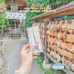 Sức Khoẻ - Gyoda