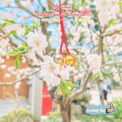 Sức Khoẻ - Bất Lão Trường Thọ