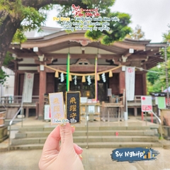 Sự nghiệp - Phi Dược