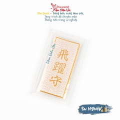 Sự nghiệp - Phi Dược